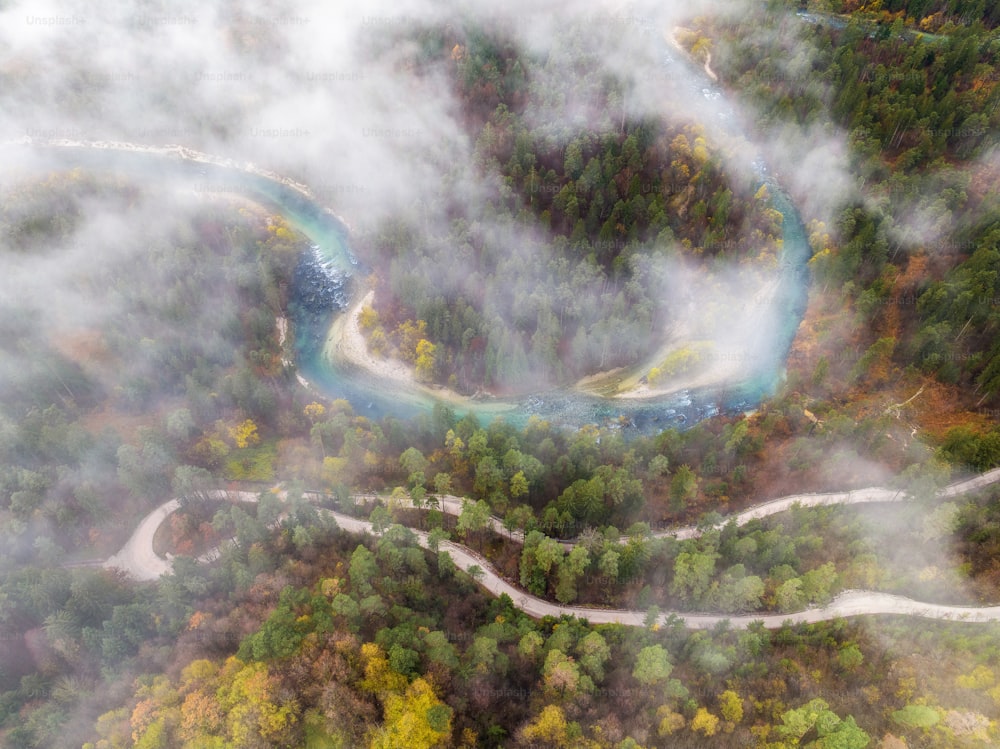 an aerial view of a winding river surrounded by trees