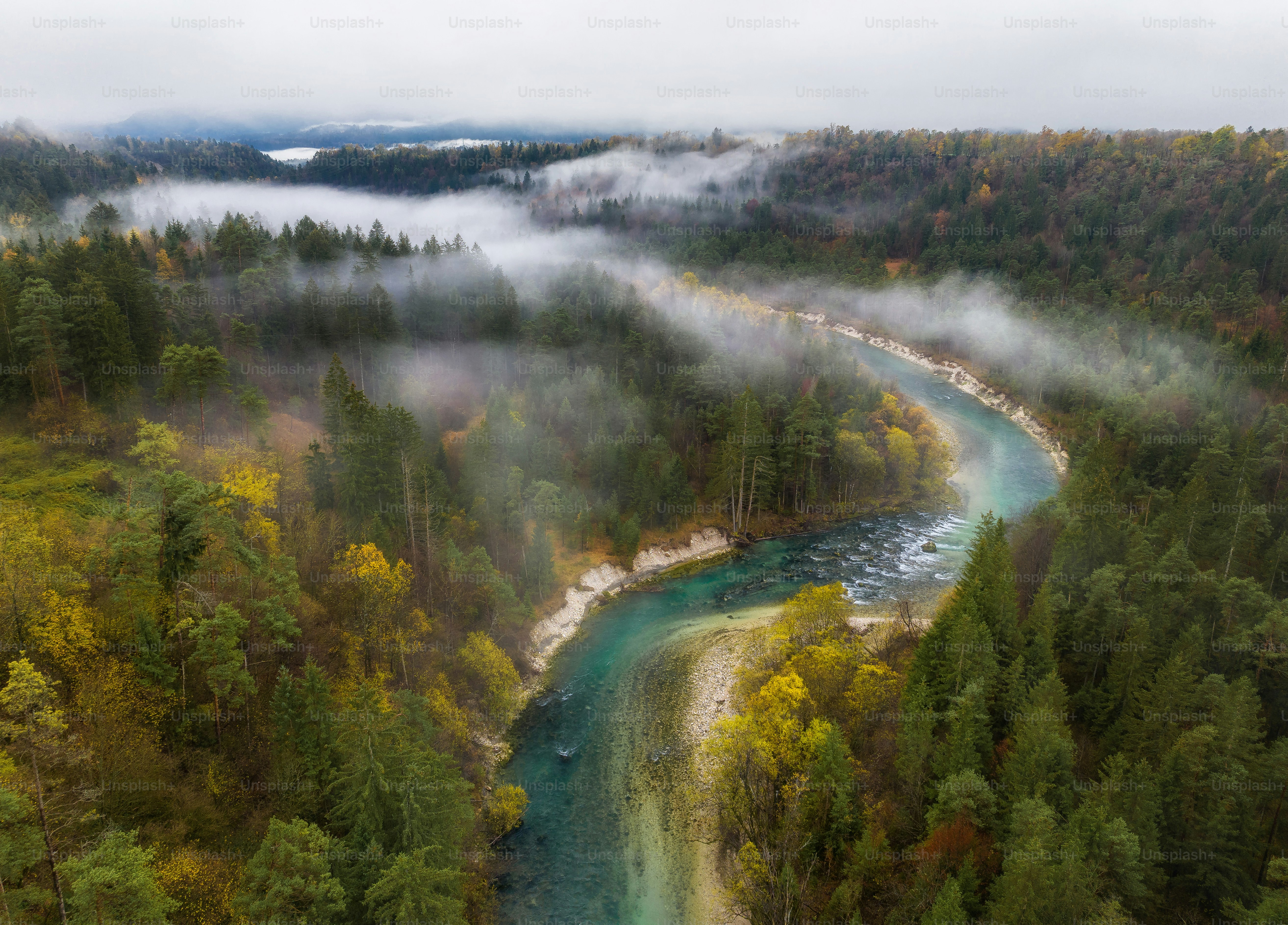 Un fiume che attraversa una lussureggiante foresta verde