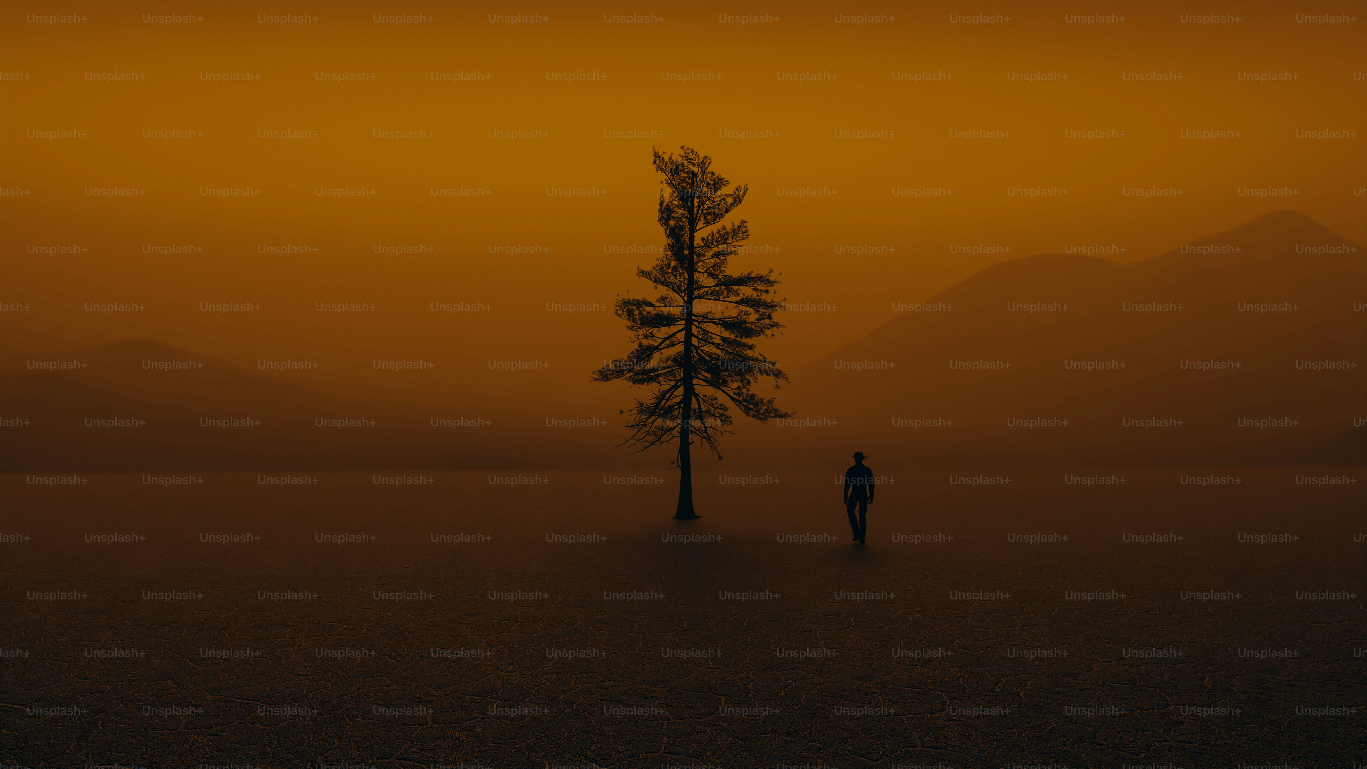 a lone tree in the middle of a field