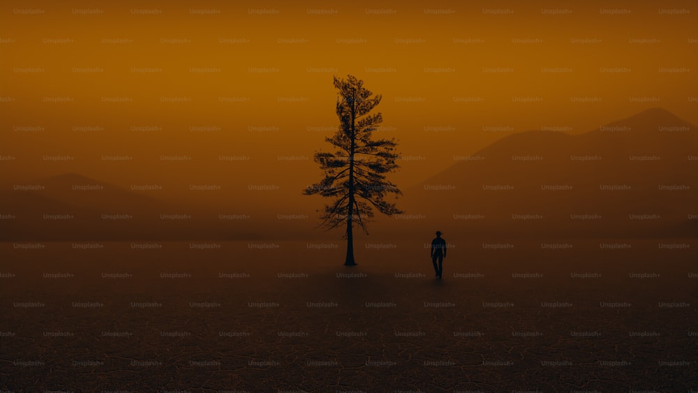 Uma árvore solitária no meio de um campo