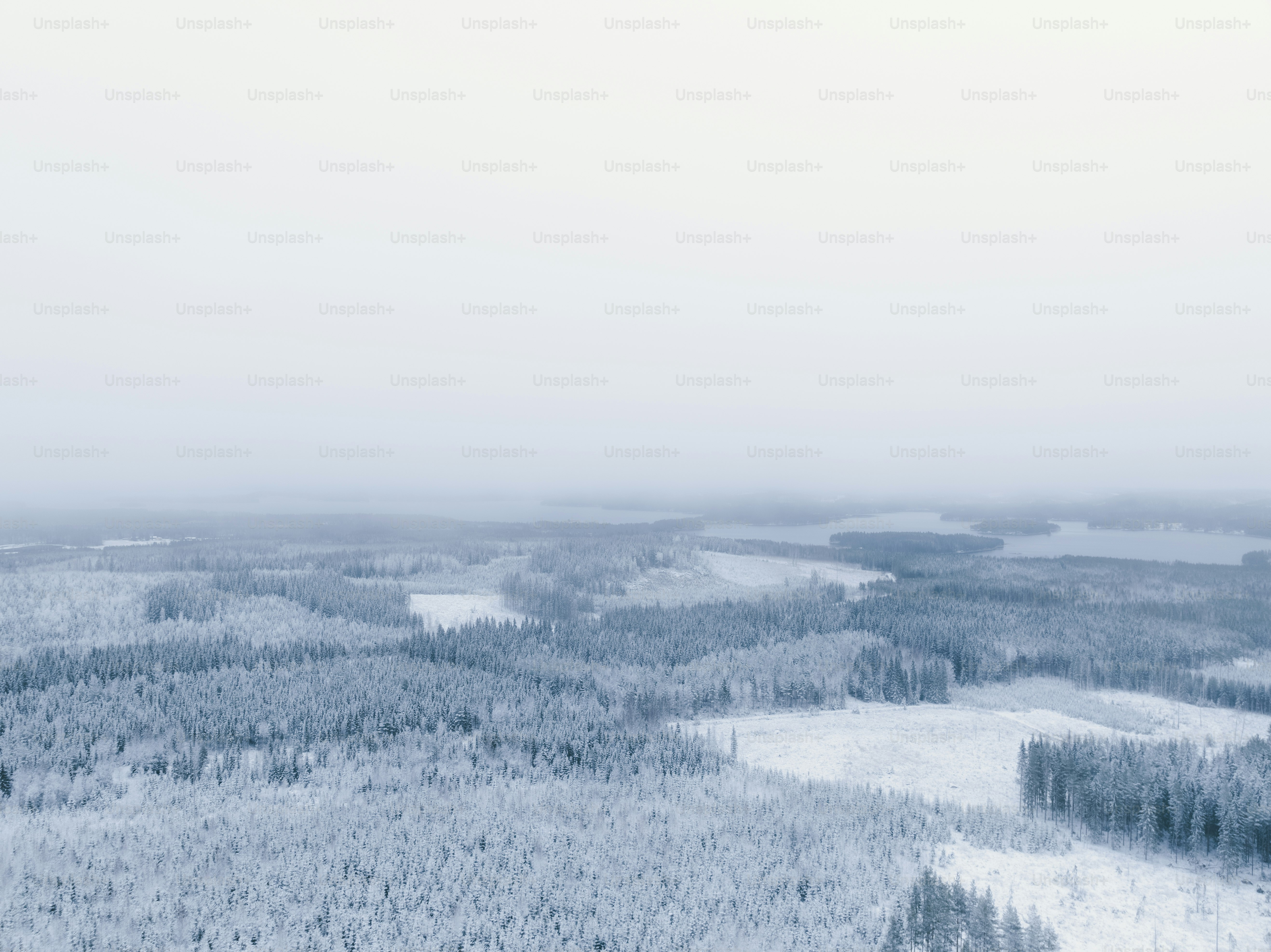 an aerial view of a snow covered forest