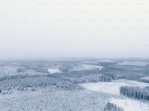 an aerial view of a snow covered forest