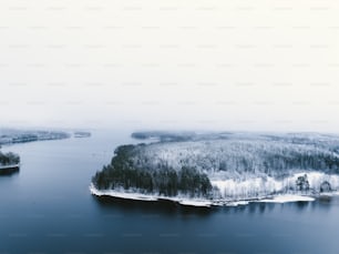 an aerial view of a lake surrounded by trees