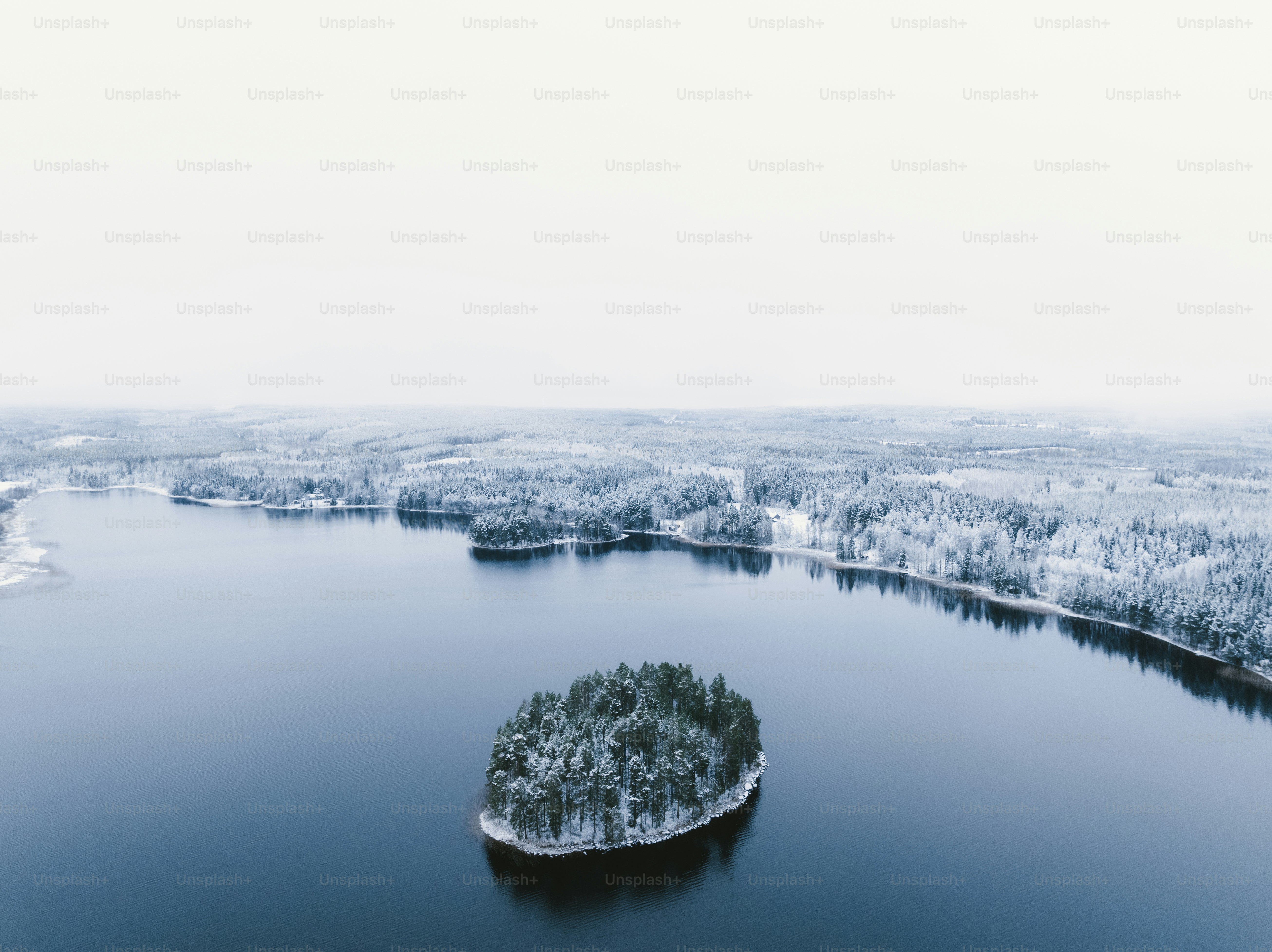 an aerial view of a lake surrounded by snow covered trees