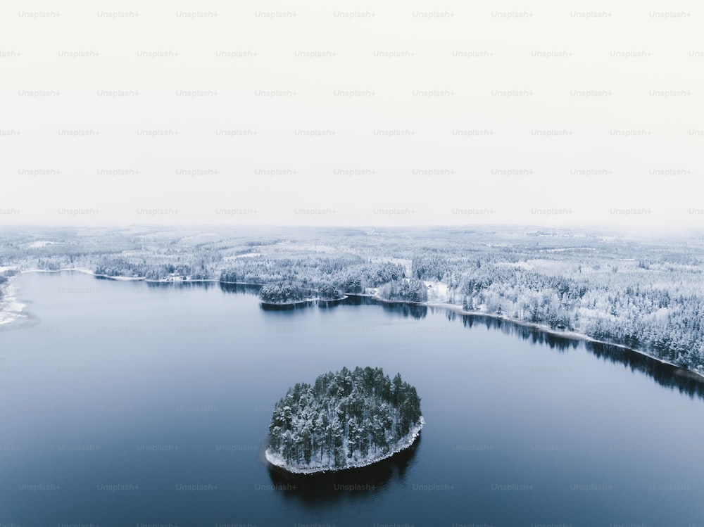 雪��に覆われた木々に囲まれた湖の空撮