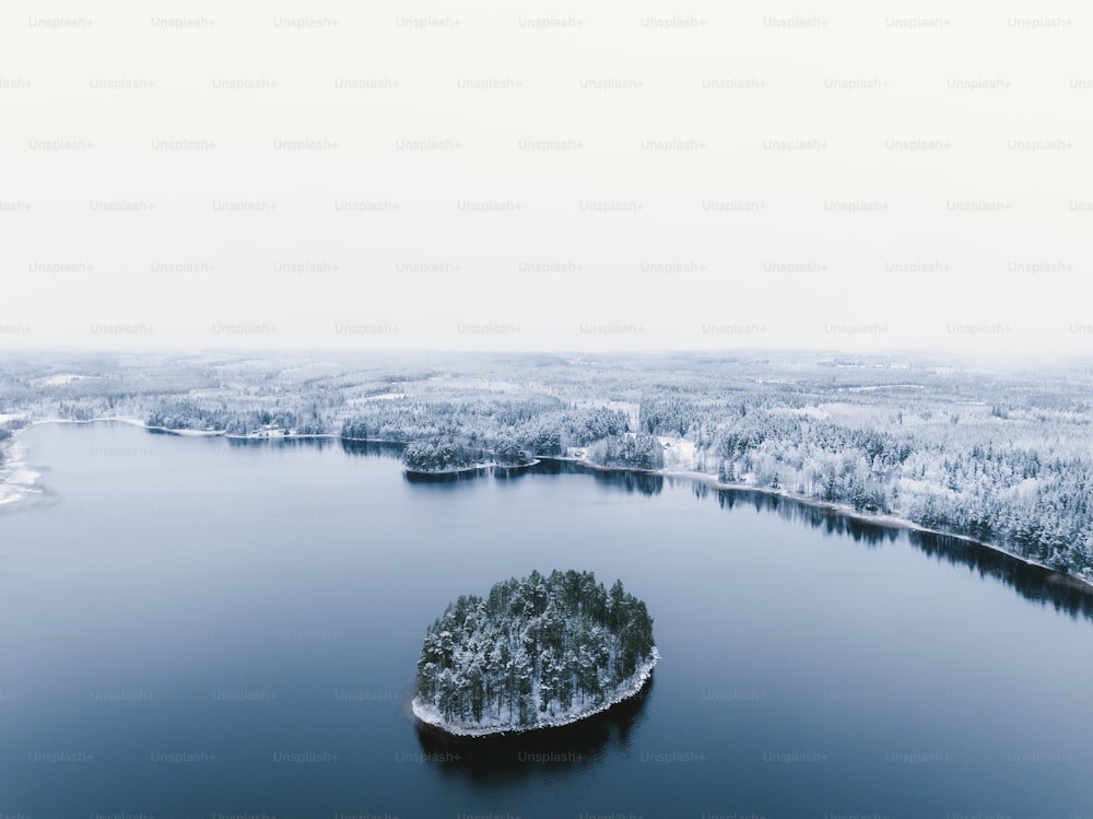 an aerial view of a lake surrounded by snow covered trees