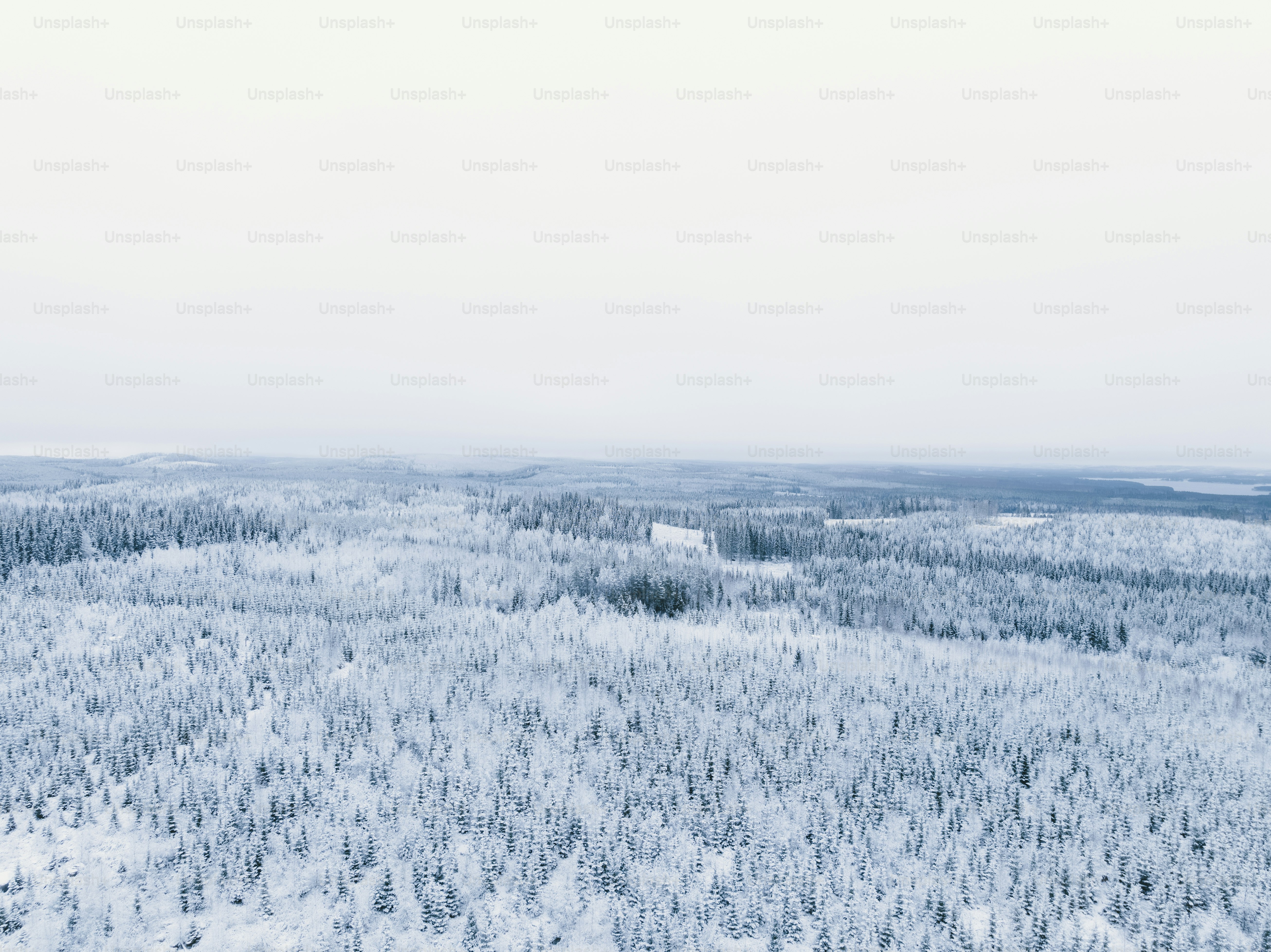 an aerial view of a snow covered forest