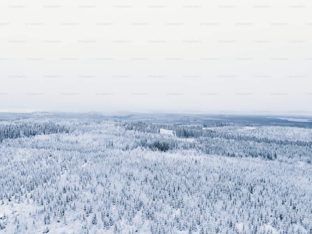 Eine Luftaufnahme eines schneebedeckten Waldes
