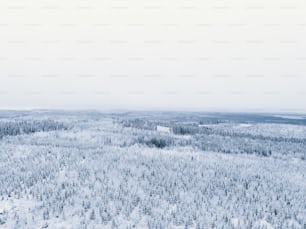 an aerial view of a snow covered forest