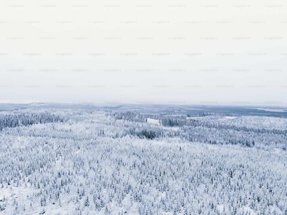 an aerial view of a snow covered forest