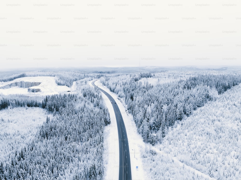 a road in the middle of a snowy forest