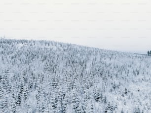 Una montagna innevata con alberi in primo piano