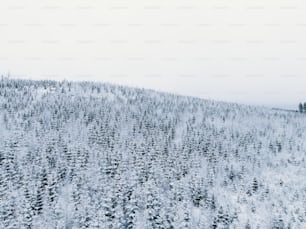 a snow covered mountain with trees in the foreground