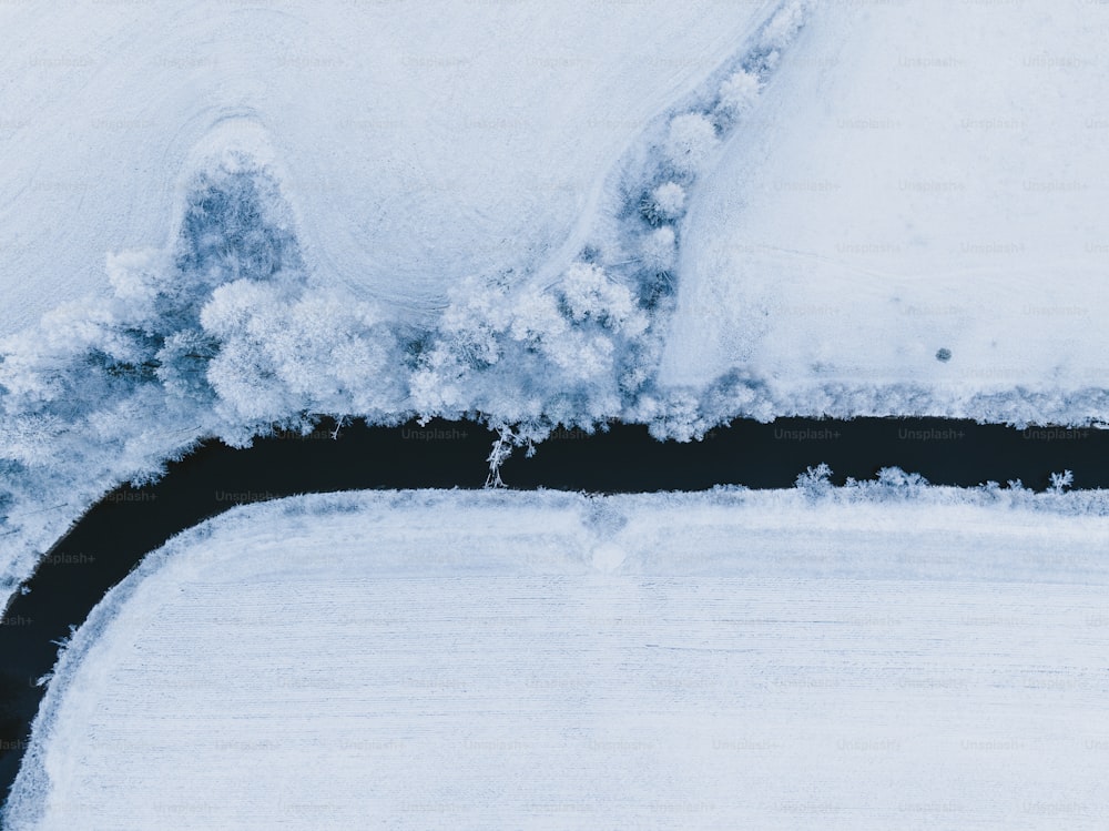uma vista aérea de árvores cobertas de neve e água