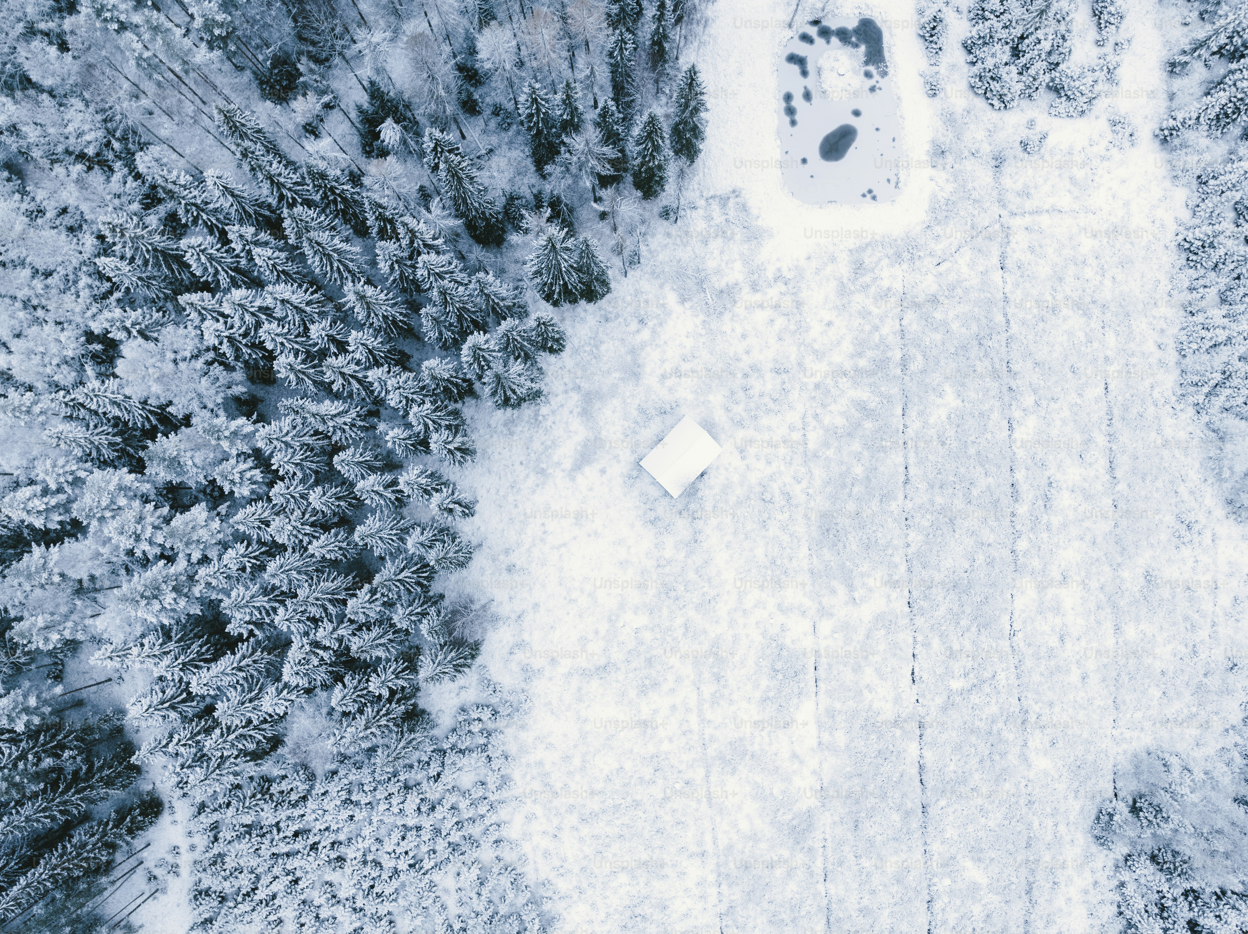 an aerial view of a snow covered forest