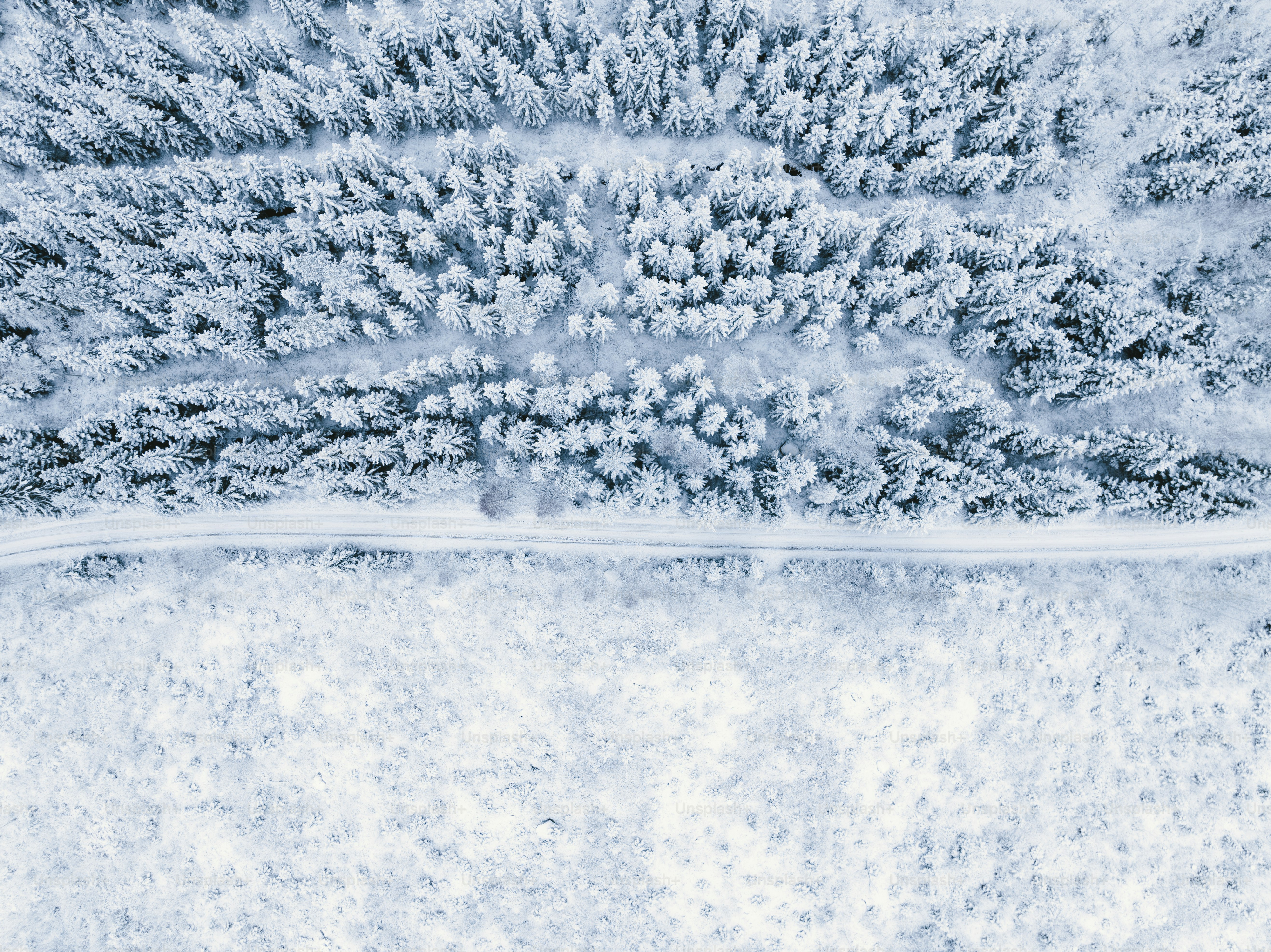 An aerial view of a snow covered forest photo – Empty road Image on ...