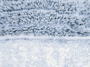 an aerial view of a snow covered forest