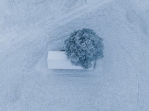 an aerial view of a tree in the snow