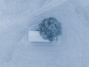 uma vista aérea de uma árvore na neve