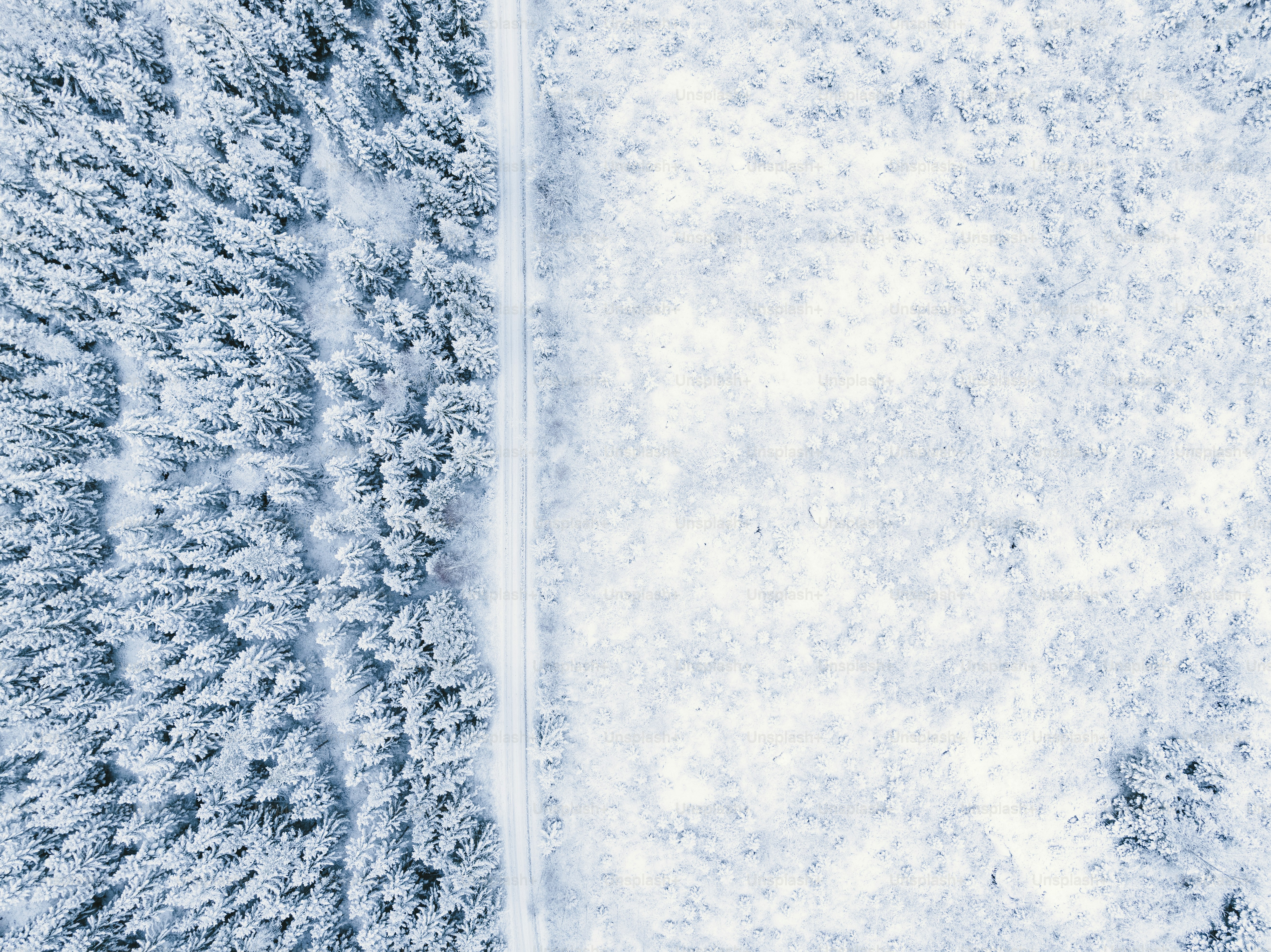 An aerial view of a snow covered forest photo – Winter Image on Unsplash