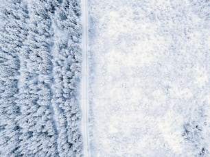 une vue aérienne d’une forêt enneigée