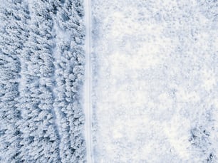 an aerial view of a snow covered forest