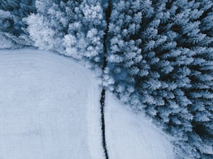 an aerial view of a snow covered forest