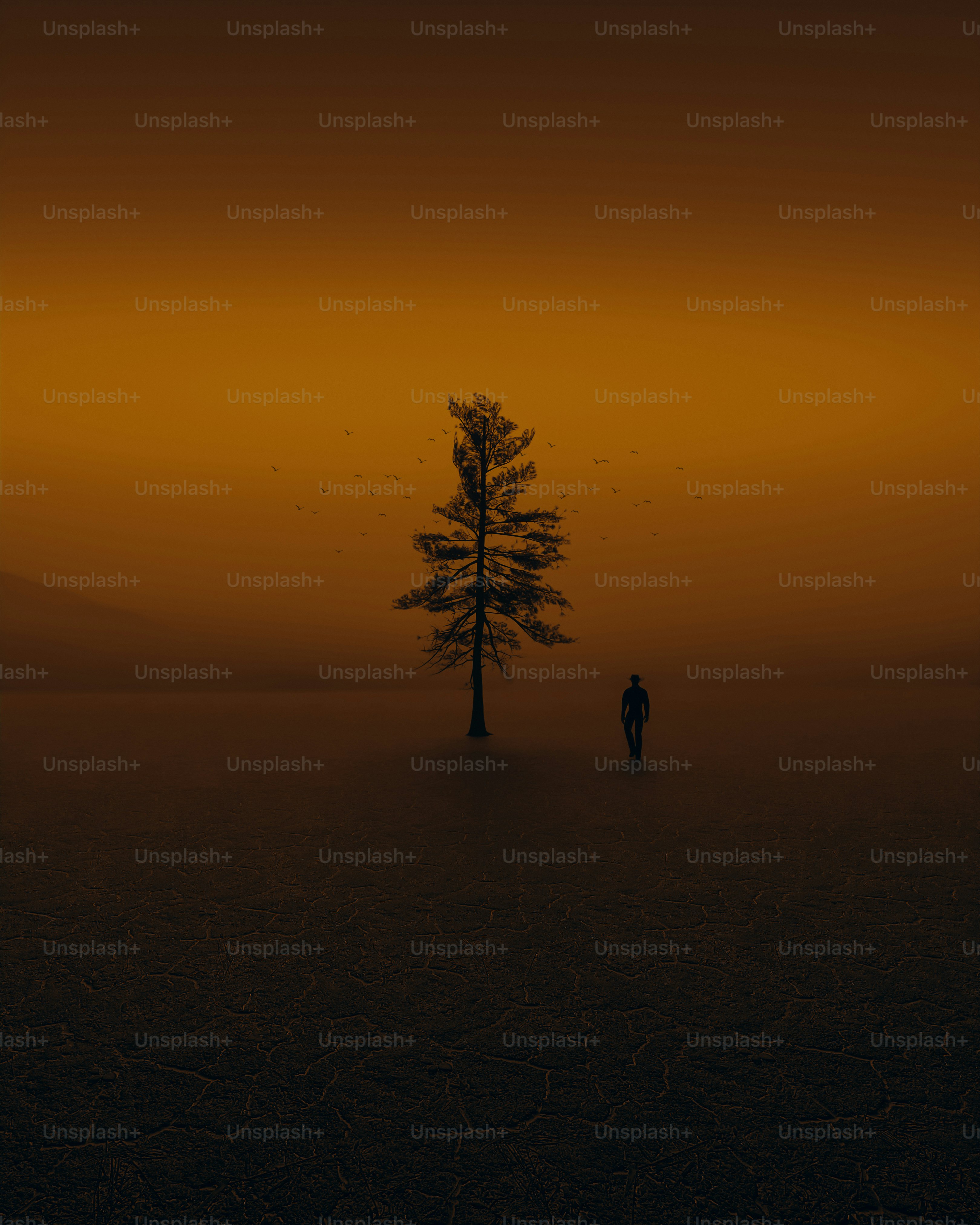 Uma árvore solitária no meio de um campo foto – Imagem sobre Deserto na  Unsplash, image size:3000x3750