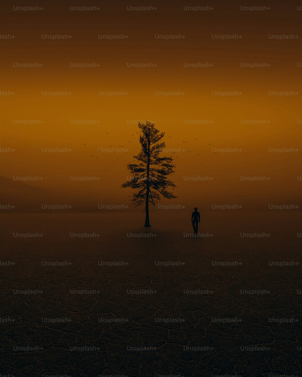 Uma árvore solitária no meio de um campo