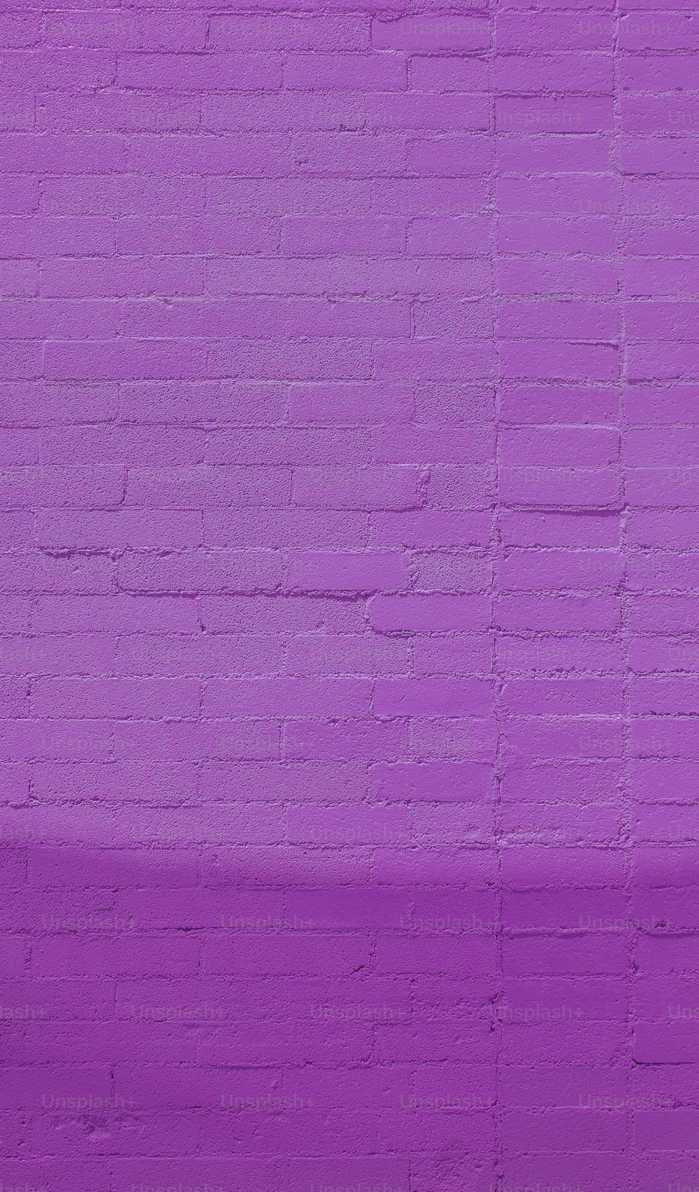 紫色のレンガの壁とその前にベンチ