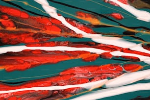 un groupe de poissons rouges et blancs nageant dans un plan d’eau