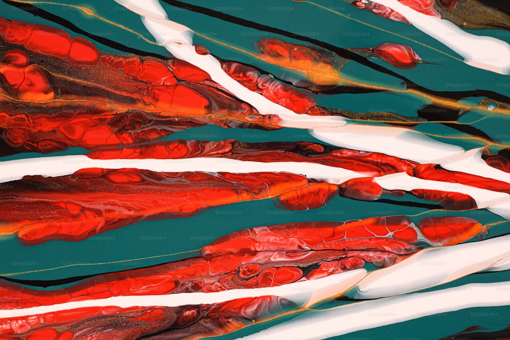 a group of red and white fish swimming in a body of water