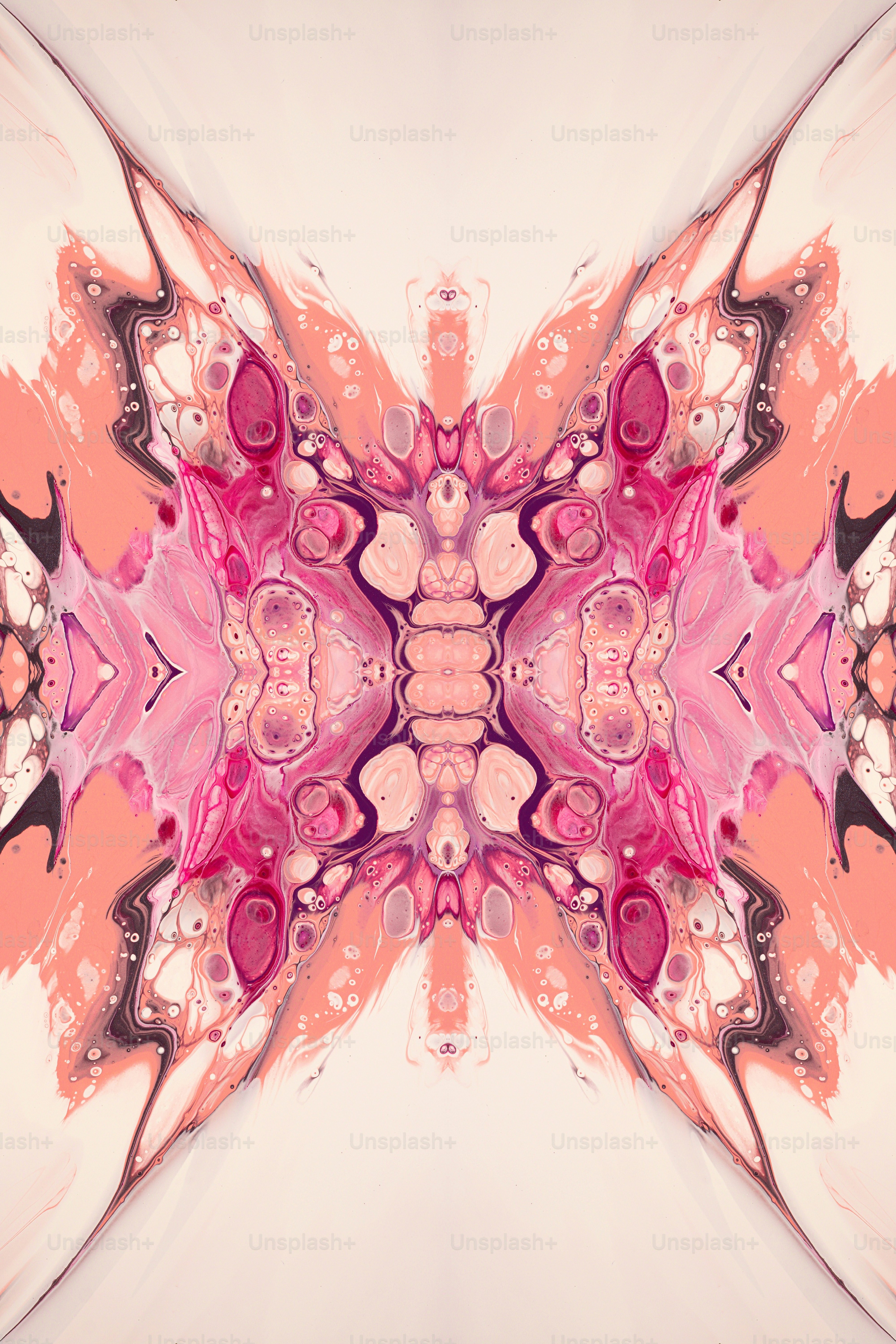 a picture of a pink and white flower