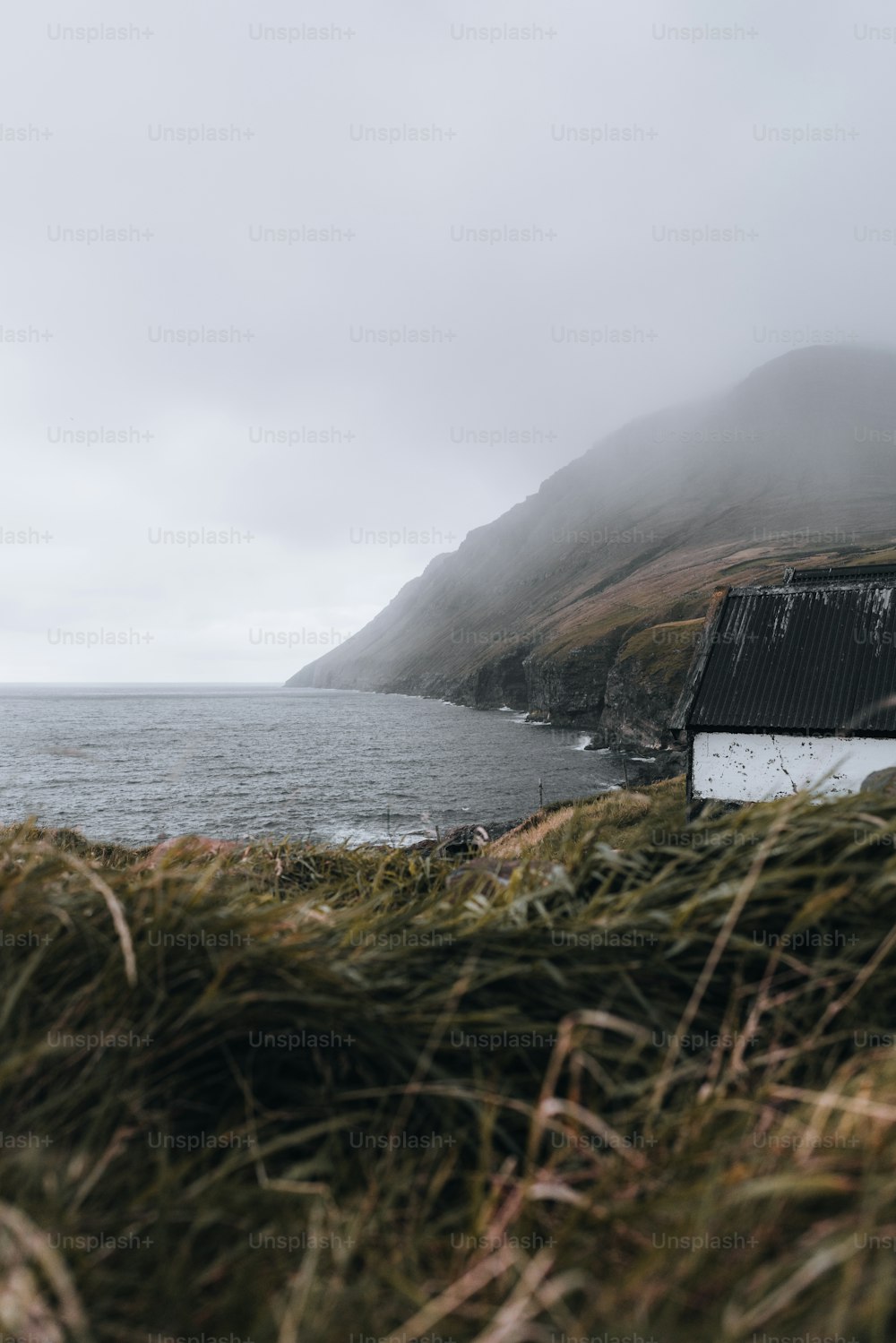 바다 옆 풀밭으로 덮인 언덕 위에 앉아 있는 집