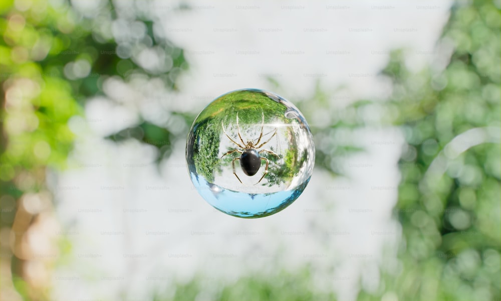 un gros plan d’une boule de verre avec un insecte à l’intérieur