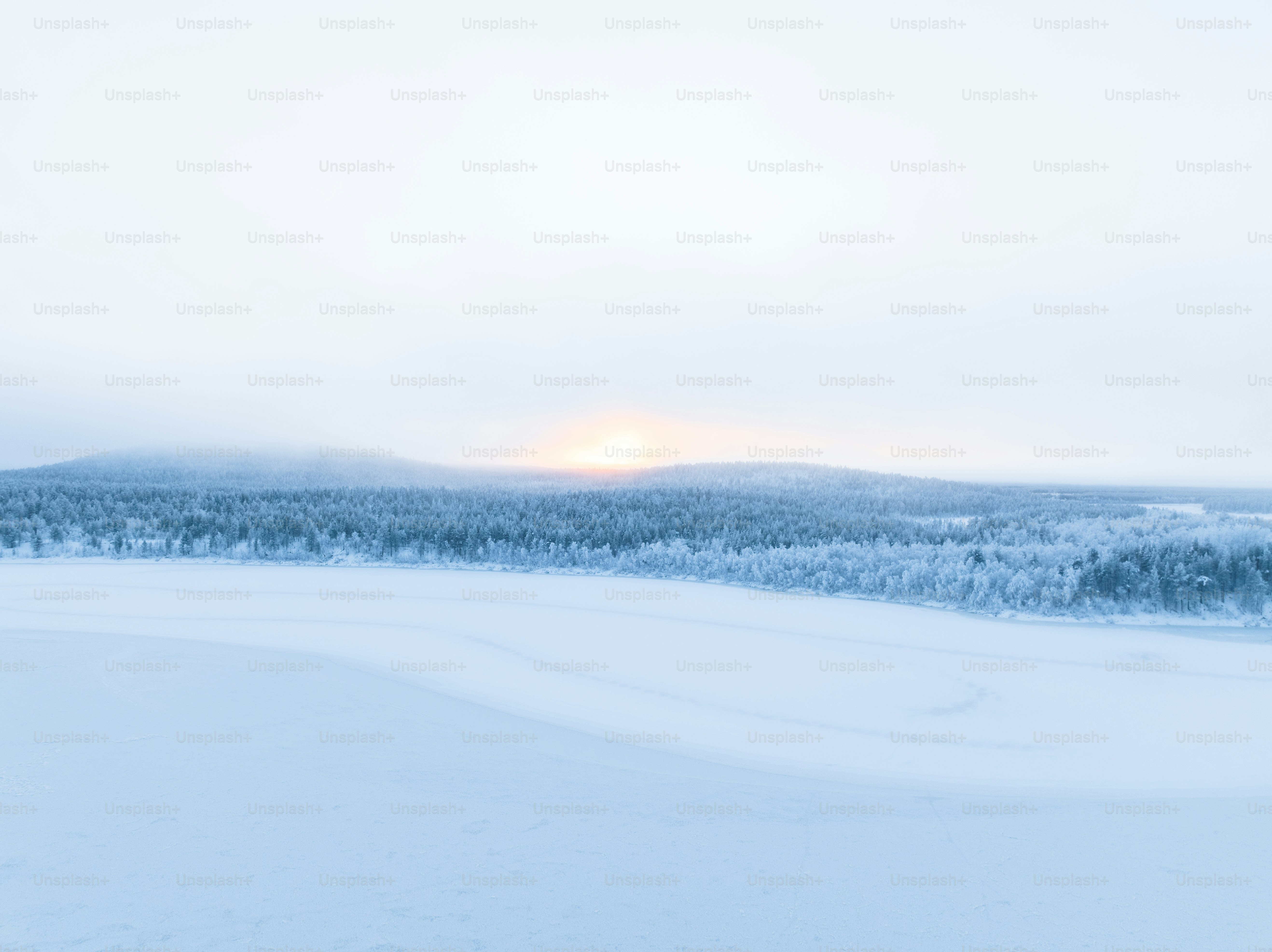 a snow covered field with trees in the background