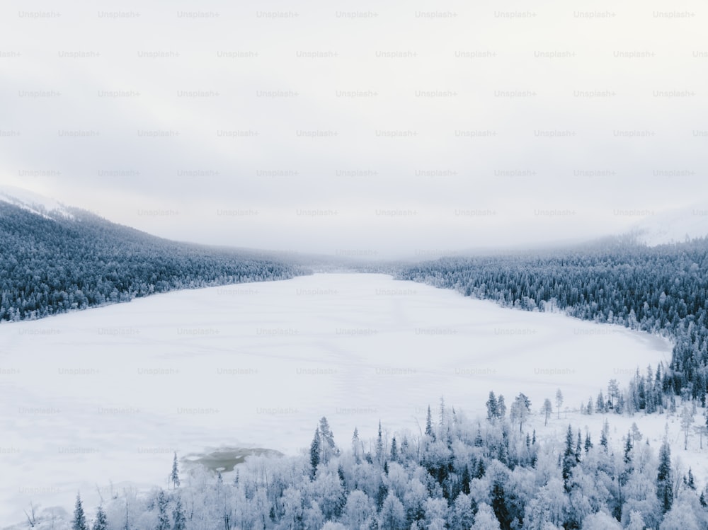 Ein großer See, umgeben von schneebedeckten Bäumen