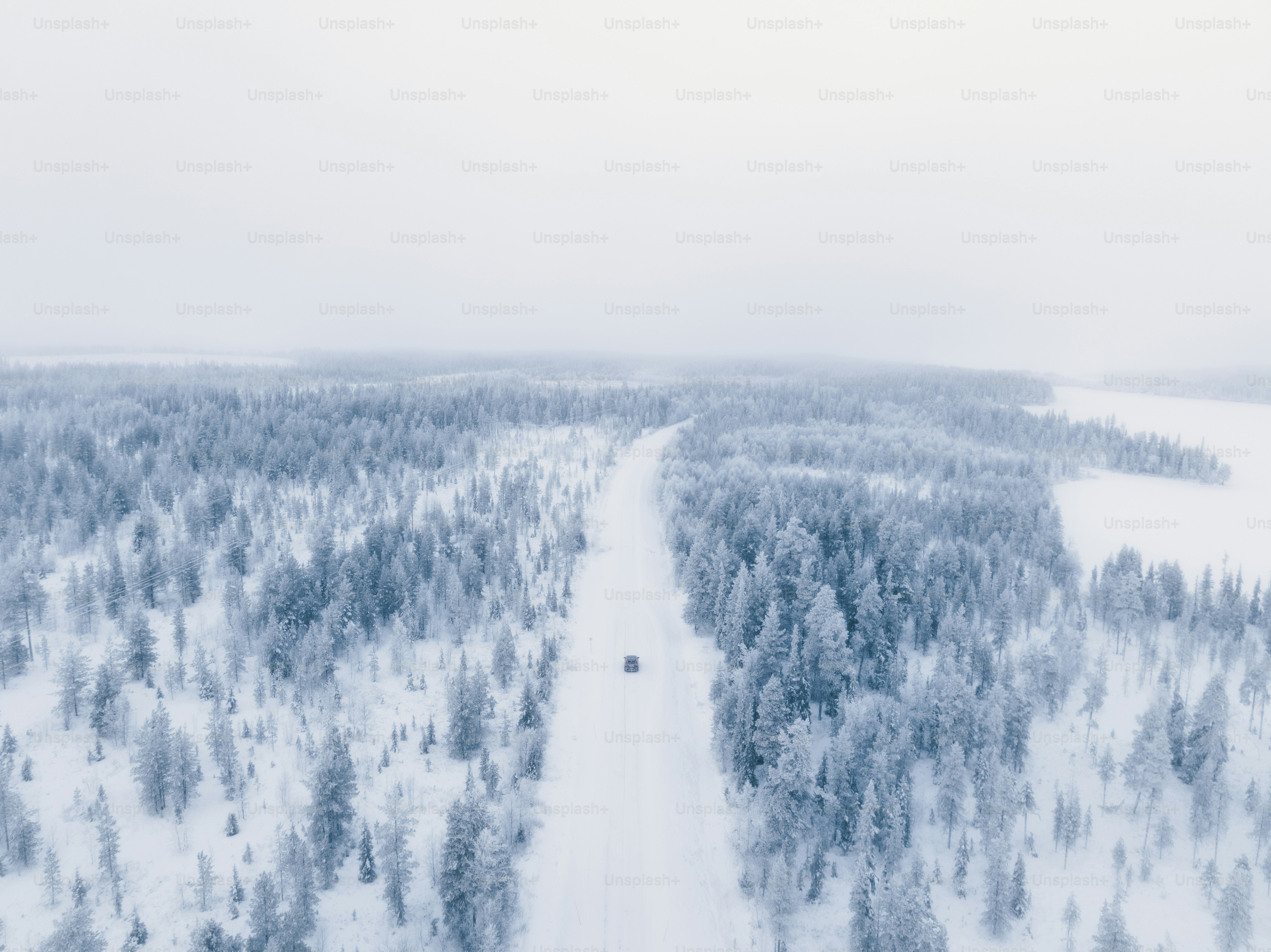 an aerial view of a snow covered forest