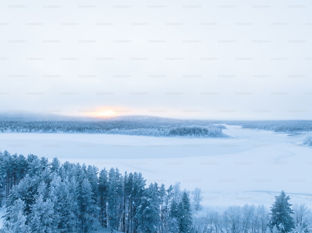 uma paisagem nevada com árvores e um lago