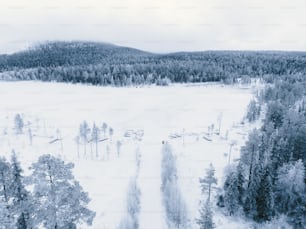 an aerial view of a snow covered forest