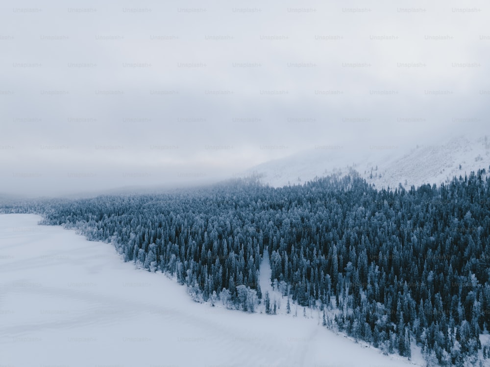 Un paisaje nevado con árboles y montañas al fondo