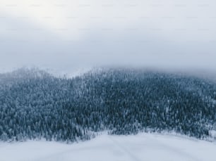 Ein schneebedeckter Berg mit einem Wald im Hintergrund