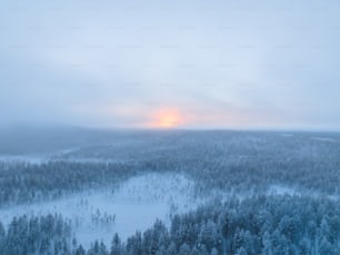 the sun is setting over a snowy forest