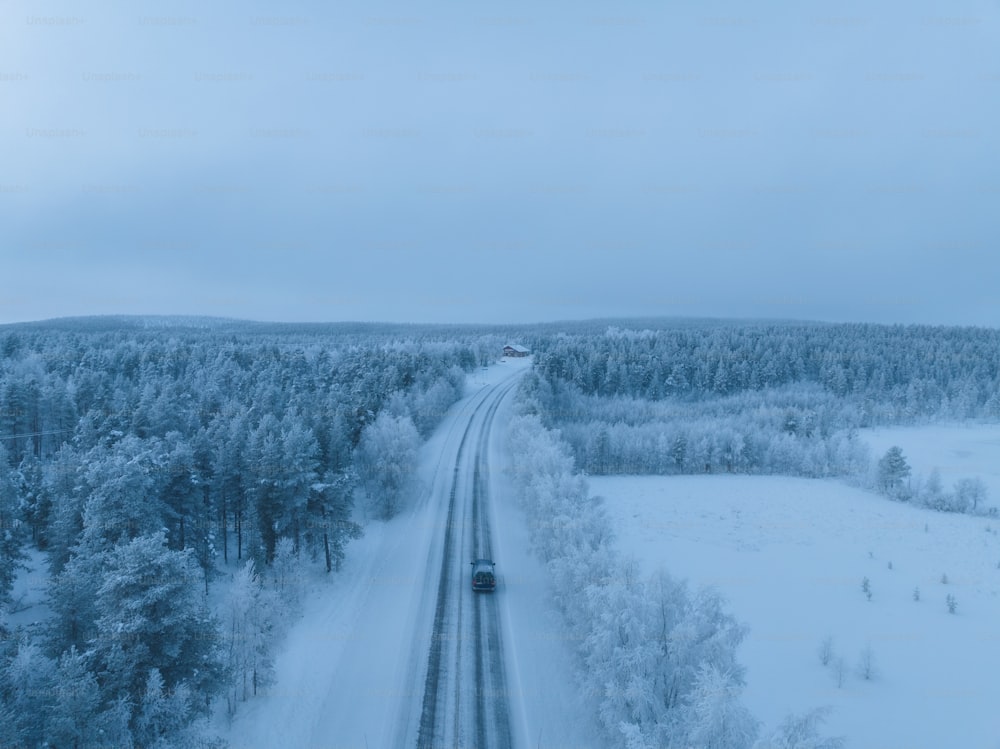 um trem viajando por uma floresta coberta de neve