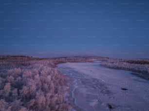 a body of water surrounded by trees covered in ice