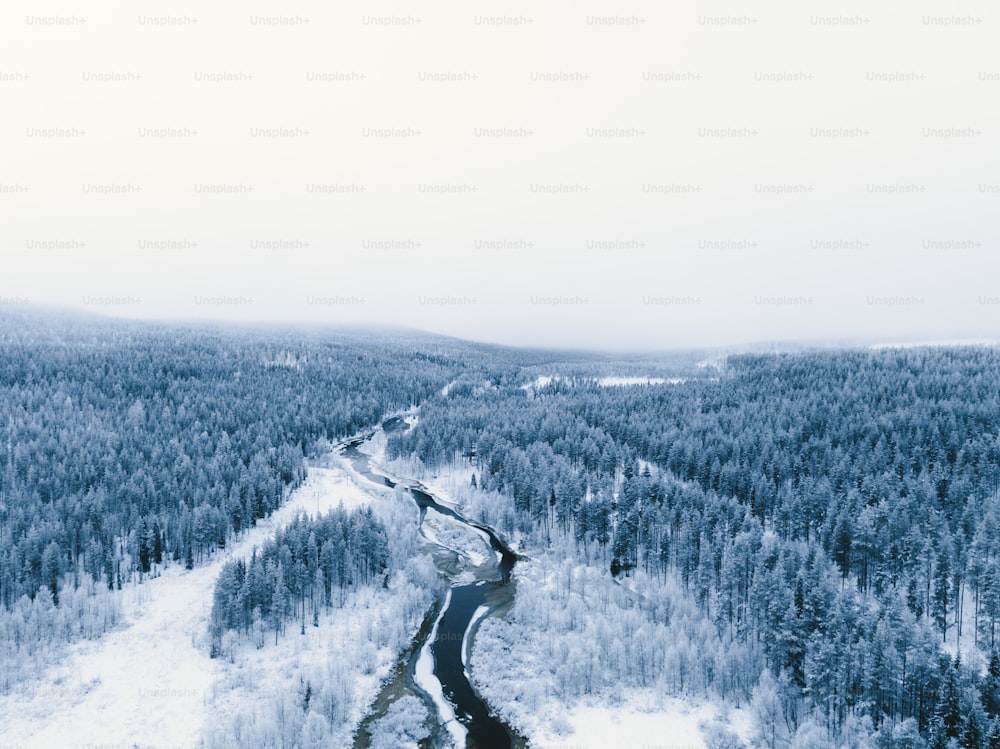 an aerial view of a snow covered forest