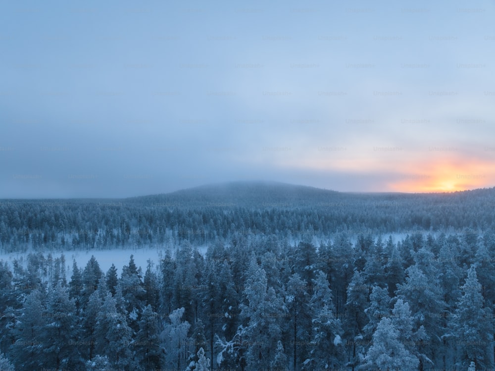 a snow covered forest with a sunset in the distance