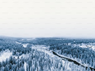 an aerial view of a snow covered forest