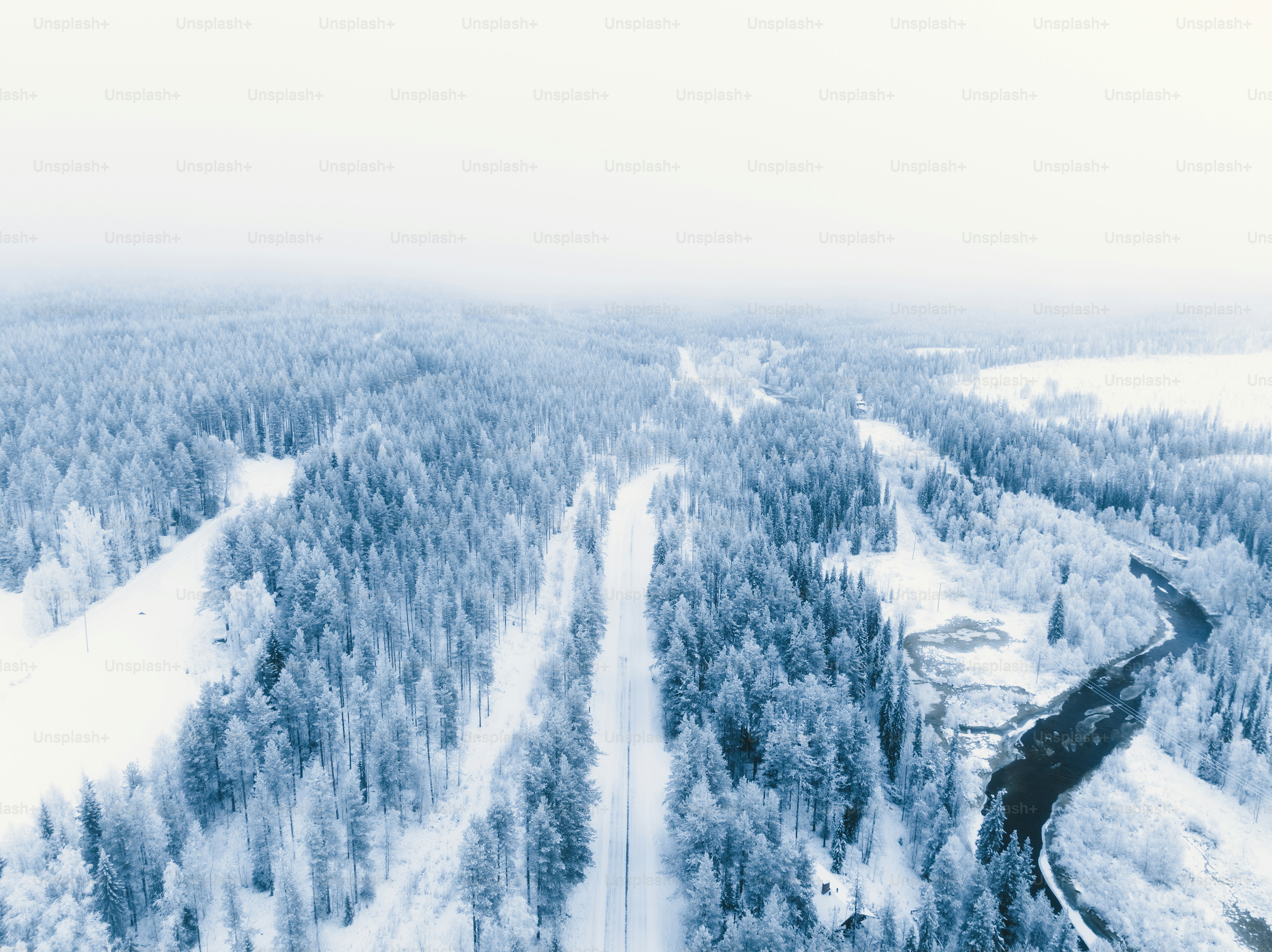 An aerial view of a snow covered forest photo – White landscape Image ...