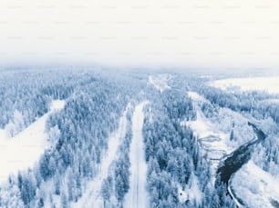 an aerial view of a snow covered forest